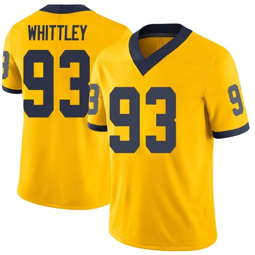 Jordan Whittley Michigan Wolverines Youth NCAA #93 Maize Limited Brand Jordan College Stitched Football Jersey ENF0354UW
